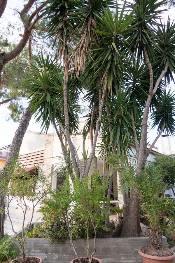 Yucca Camere & Suite Trani Exteriér fotografie